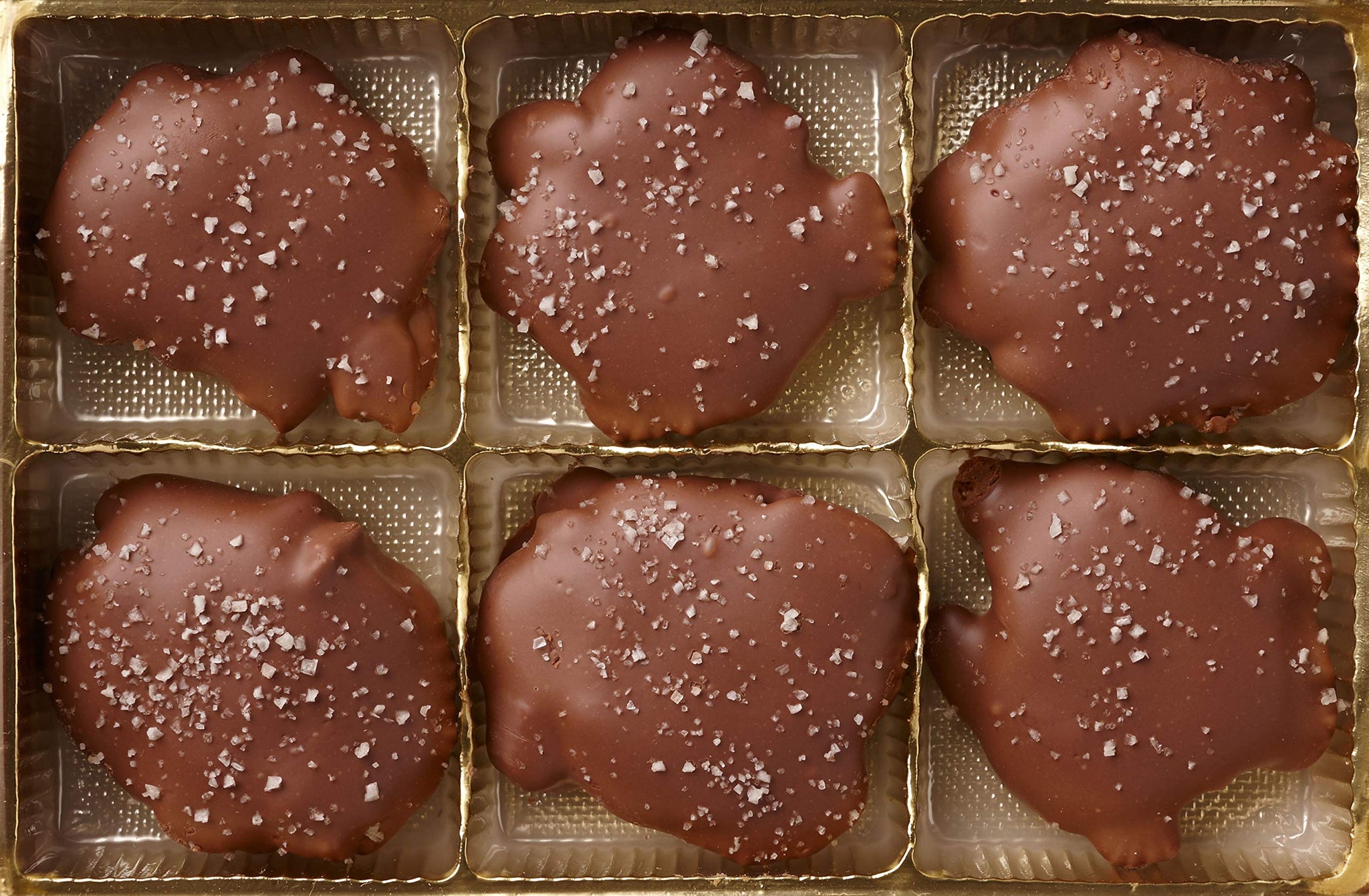 Milk Chocolate Salted Pecan Caramel Patties Muddy Paws