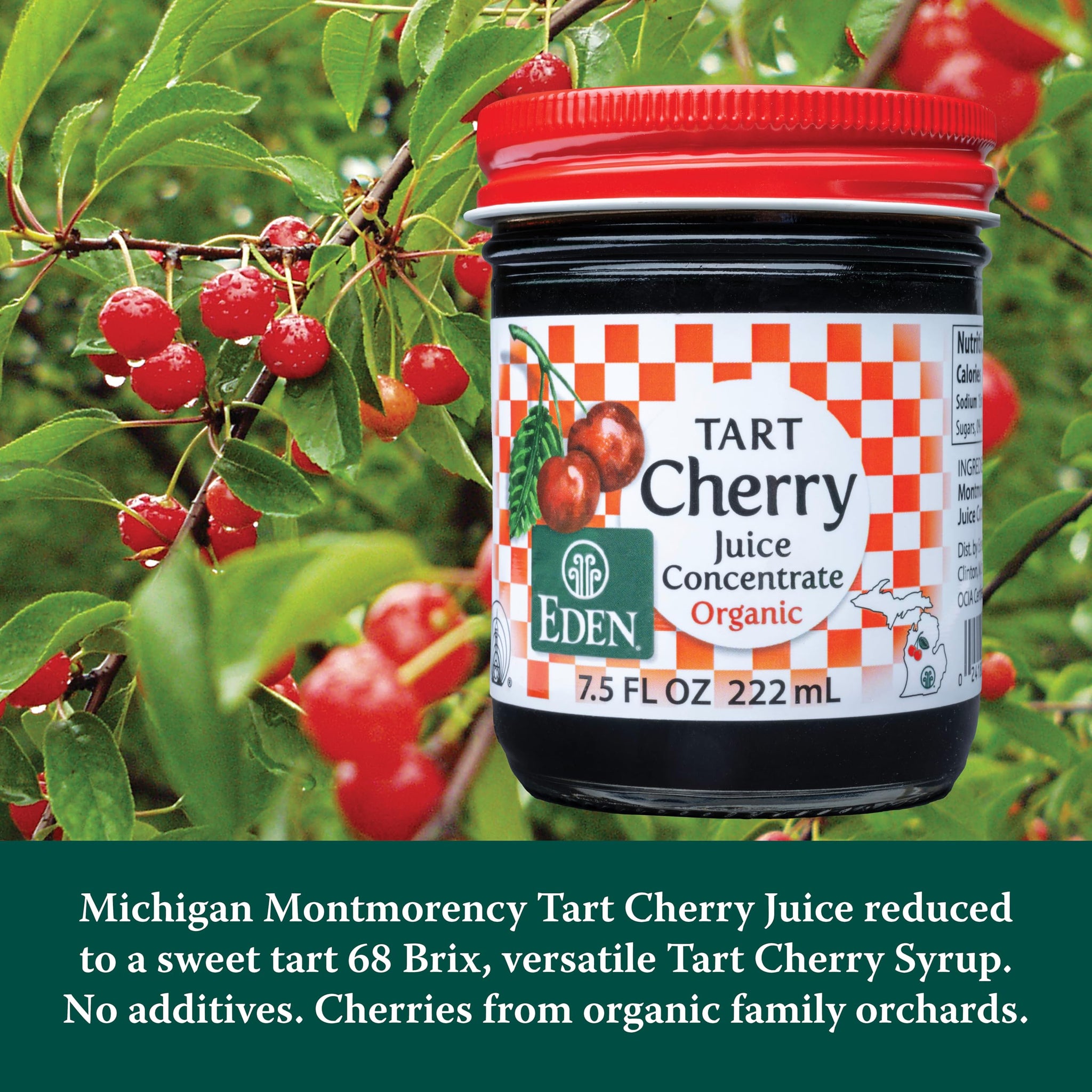 Eden Organic Montmorency Tart Cherry Juice Concentrate, 68 Brix, No Artificial or Refined Sugars, Michigan Cherries, 7.5 Fl Oz