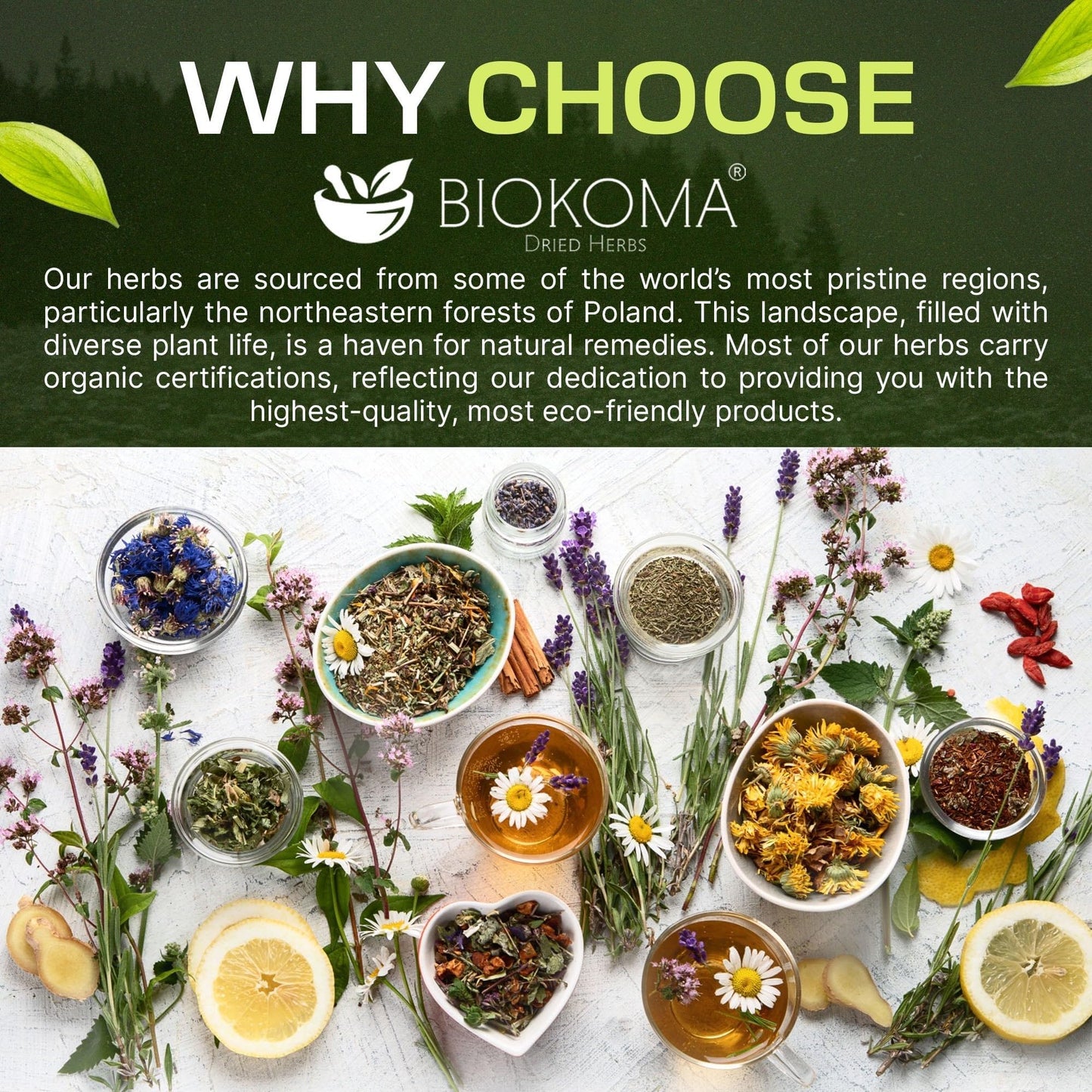 Biokoma Birch Bark Dried Cut 3.55 oz 100g Loose Herbal Tea Tree Cortex Betulae Detox Wellness Calming Rituals Caffeine Free Resealable Moisture Proof
