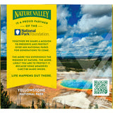 Nature Valley Chewy Protein Granola Bars, Peanut Almond Dark Chocolate, 5 Bars, 7.1 OZ