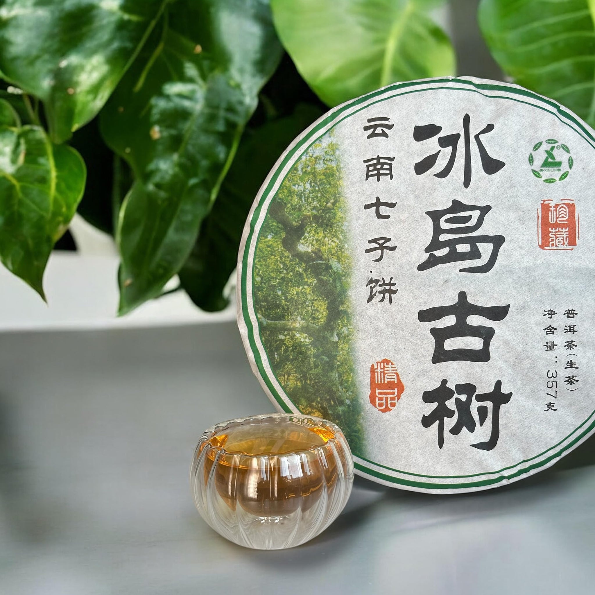 Golden Sip 2019 Raw Tea Cake Shen Puerh Ancient Tree Yunnan Qizi Puer Tea 357 g