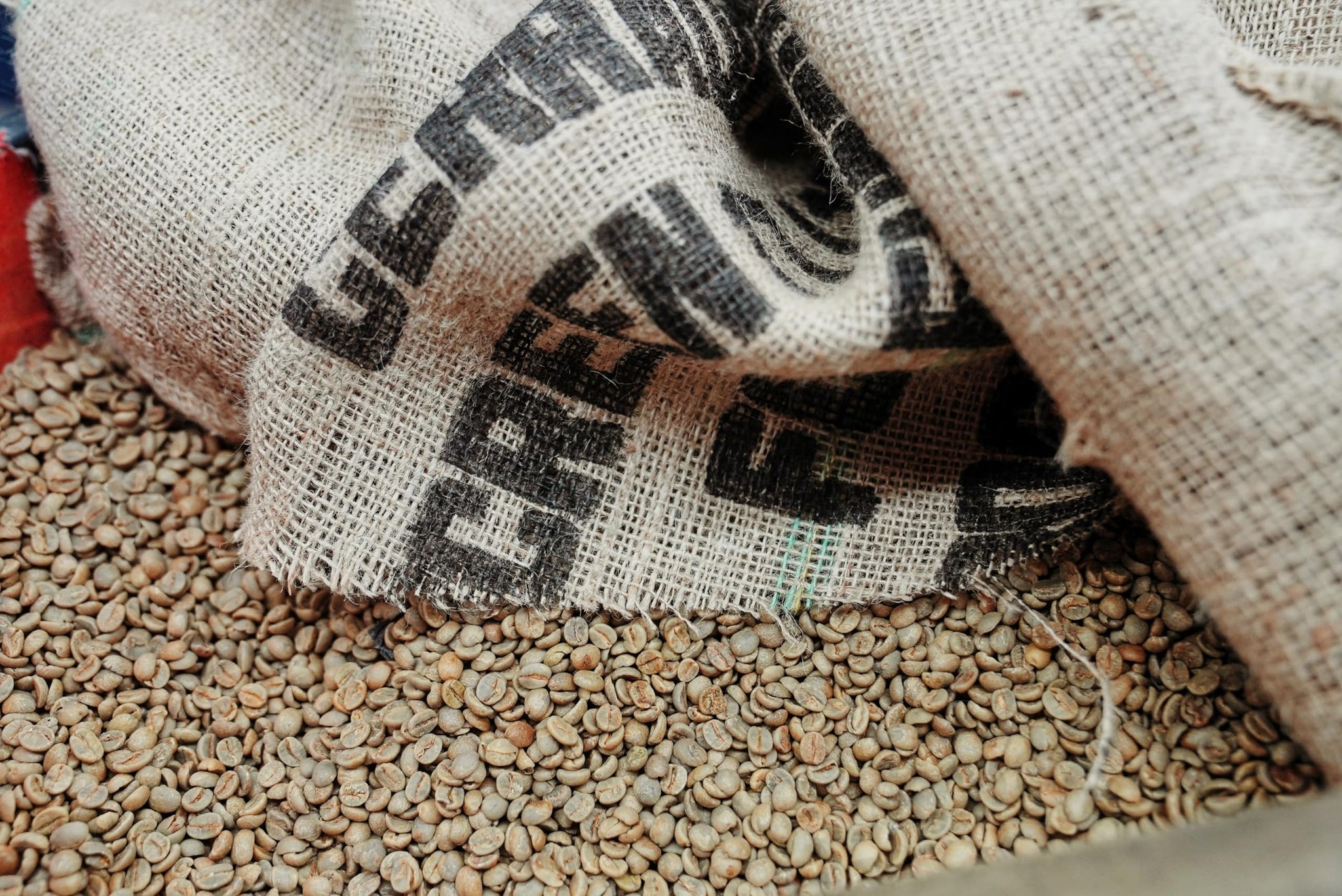 Thousand Acre Roastery | Premium Brazilian Ground Coffee Medium Roast | From Cerrado, Brazil | Best Coffee Grounds for Ultimate Flavor | Authentic