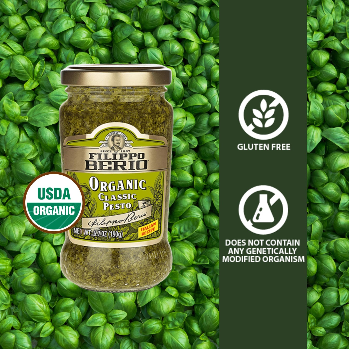 Filippo Berio Pesto, Organic Classic Basil, 6.7 Ounce Glass Jar, Gluten Free, Non-GMO