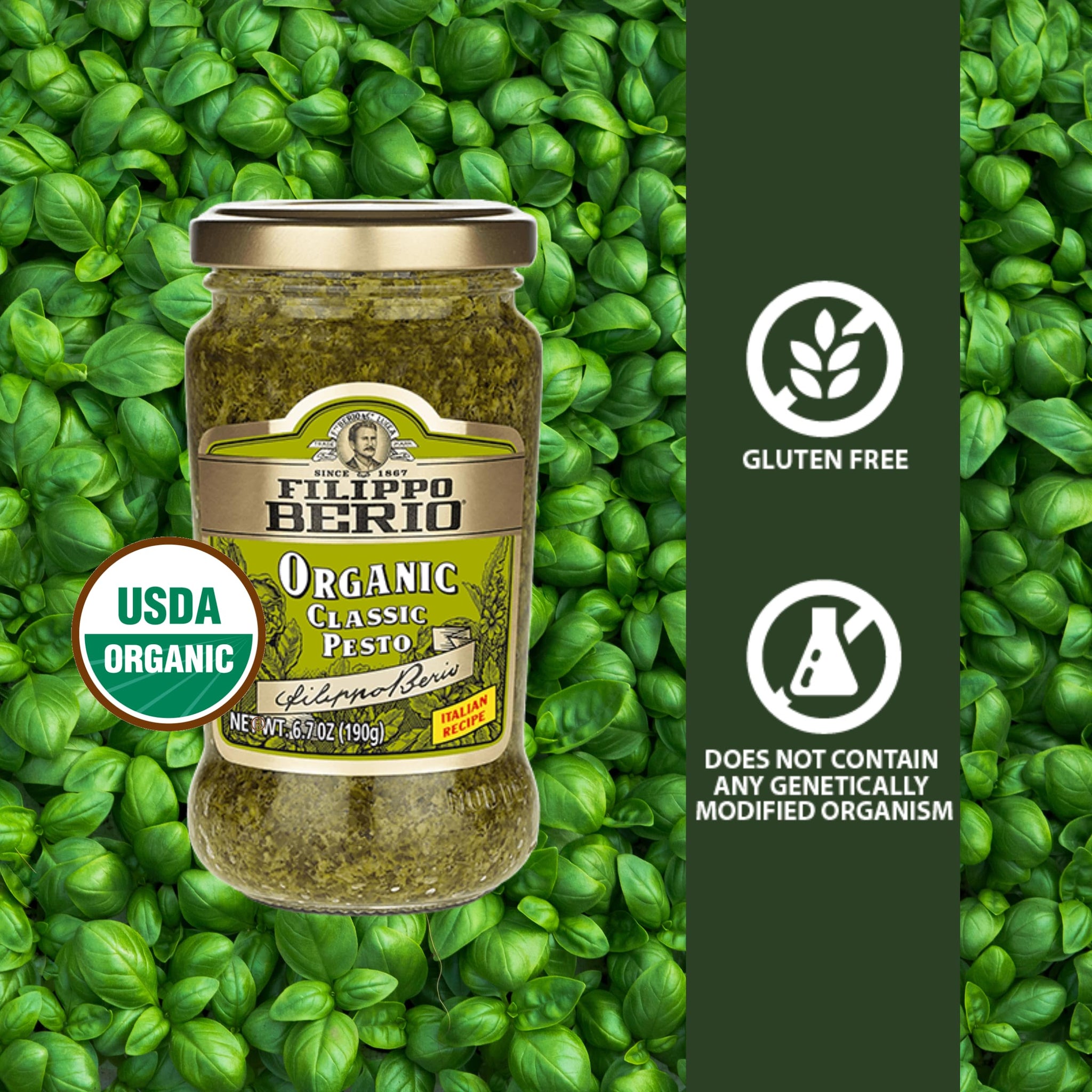 Filippo Berio Pesto, Organic Classic Basil, 6.7 Ounce Glass Jar, Gluten Free, Non-GMO