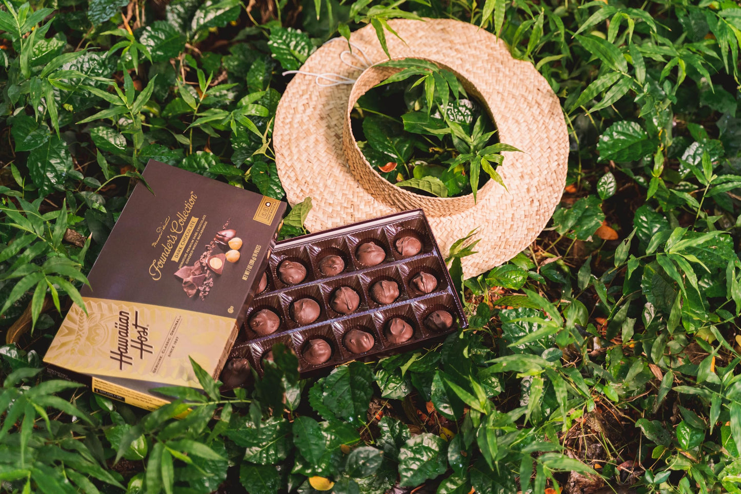 Hawaiian Host Founders Collection - Dark Chocolate Macadamia Nuts - 7 Oz Gift Box
