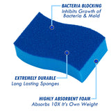 Elitra Home Heavy Duty Scrubber Sponge with Smell Resistant Hydrophilic Foam Technology, Odorless - Blue, Pack of 24