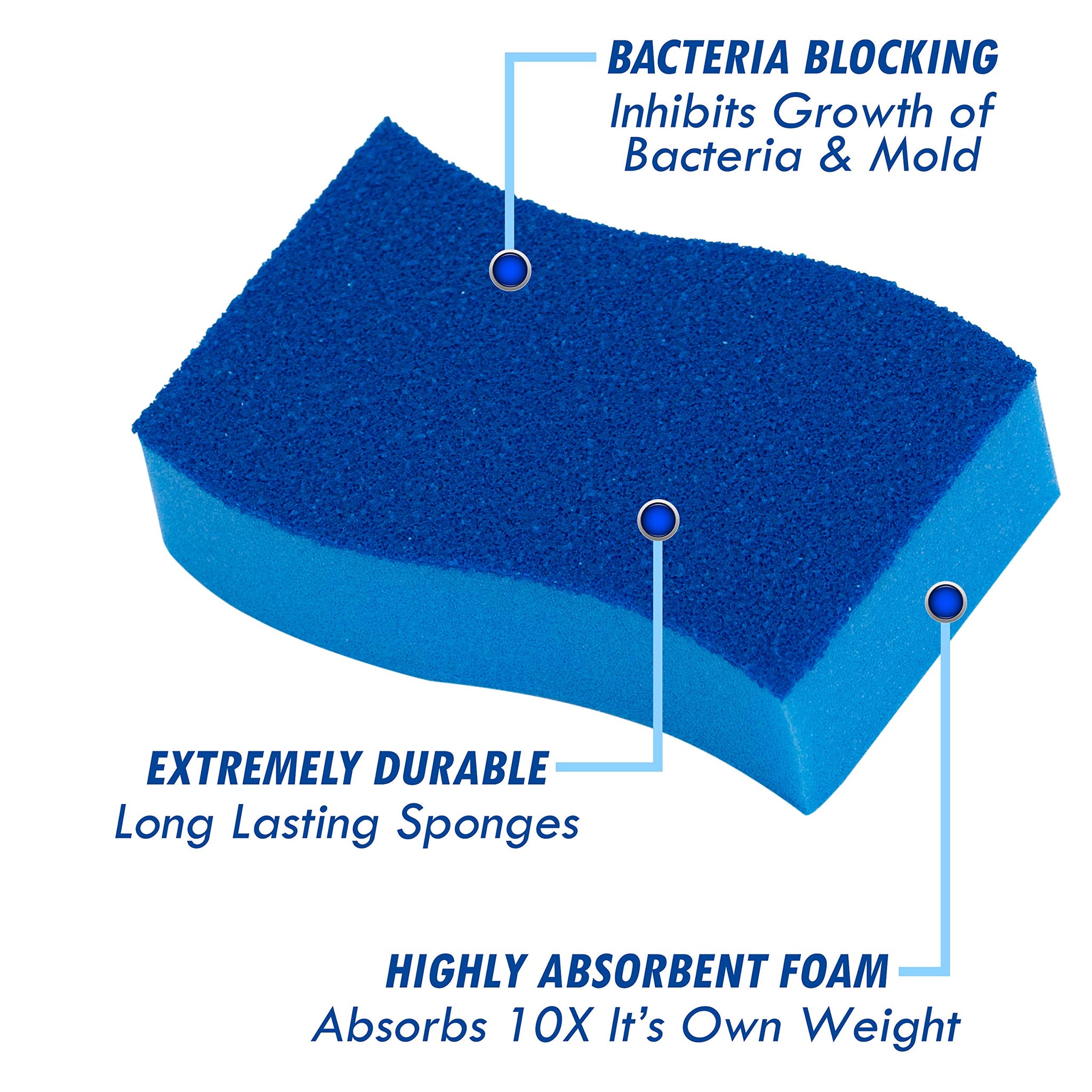 Elitra Home Heavy Duty Scrubber Sponge with Smell Resistant Hydrophilic Foam Technology, Odorless - Blue, Pack of 24
