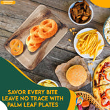 Concession Essentials Palm Leaf Rectangular Modern Plates (25 Count) - Disposable, Compostable & Biodegradable (9" x 6")