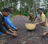 Revocup Ethiopian Harrar Whole Bean Coffee 12oz Single Origin, Natural Process, Specialty Grade Medium Roast, Mocha & Chocolate Flavors, USDA