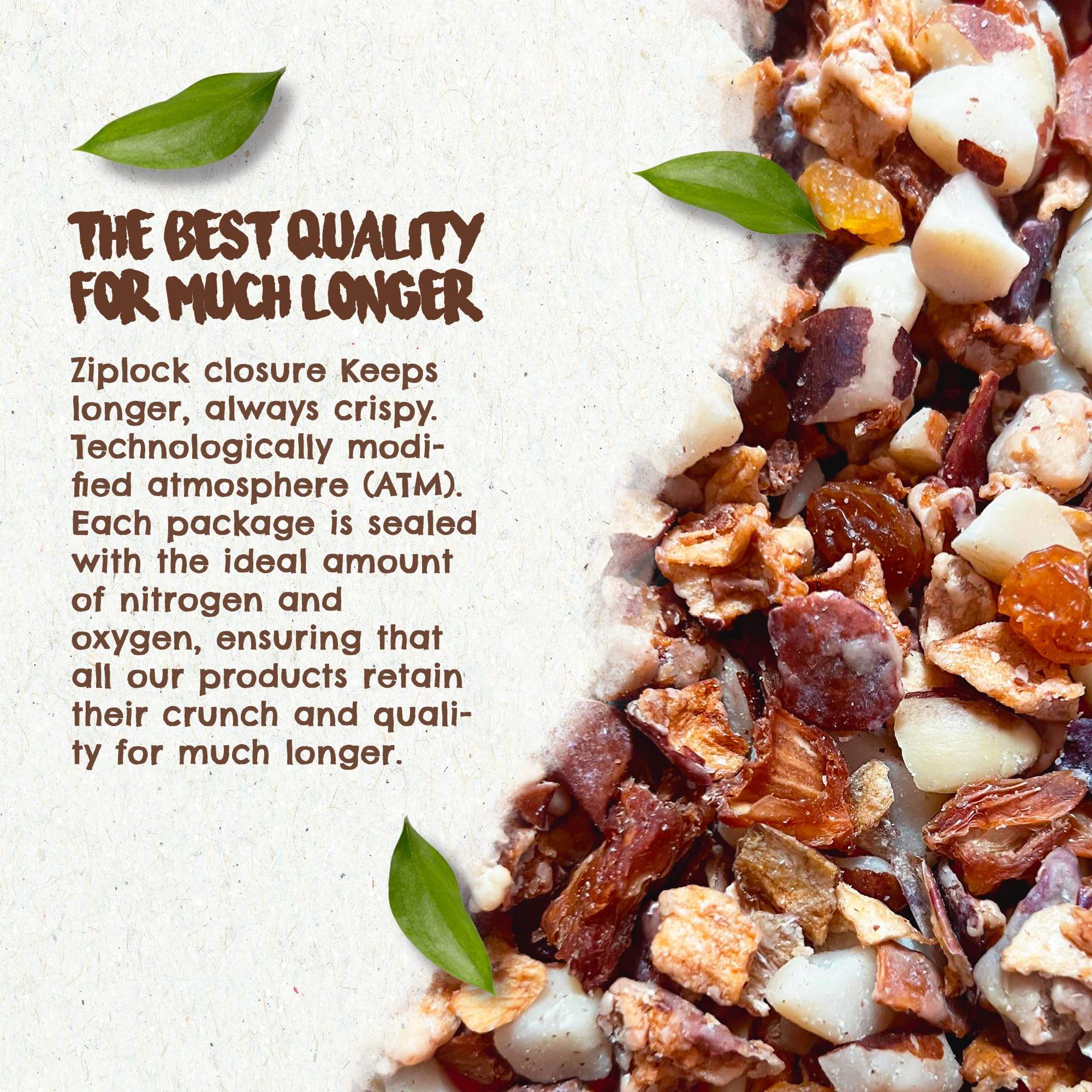 FOREST UP Snack Açaí Tropical Trail Mix 7oz - The True Organic Brazil Nuts Roasted + Dried Apple + White Raisins + Pineapple + Passion Fruit frootnibs