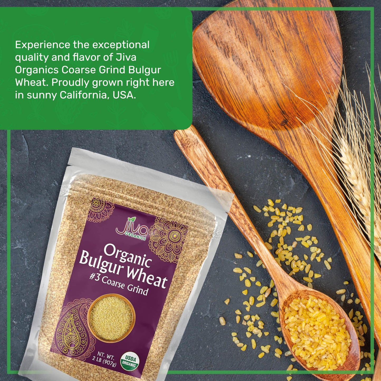 Organic Bulgur Wheat Coarse #3 2 LB - Non-GMO, Grown in USA, 100% Natural Wheat Berries, Resealable Bag by Jiva Organics