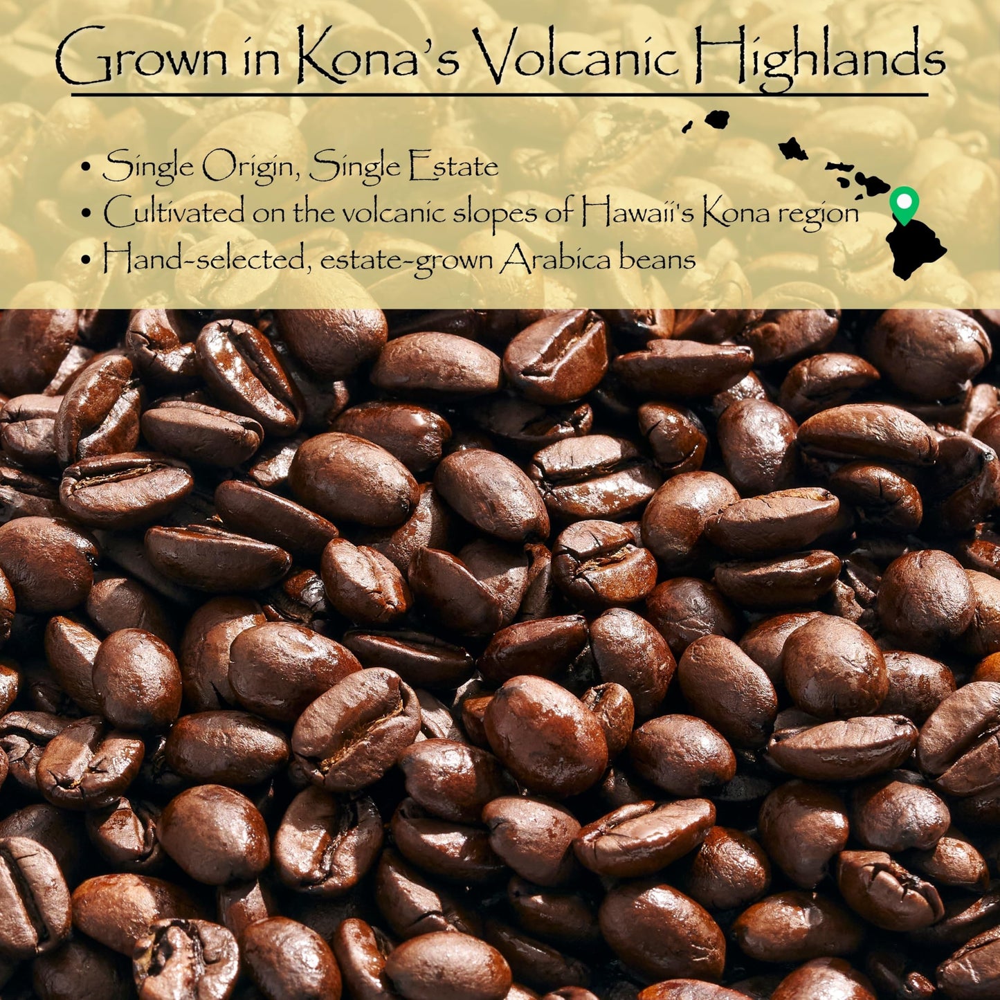 Kona Coffee Whole Bean - 100% Hawaiian Kona Coffee Beans, Single Origin Dark Roast, Fresh Roasted Whole Bean for Drip, French Press & Espresso, Kona