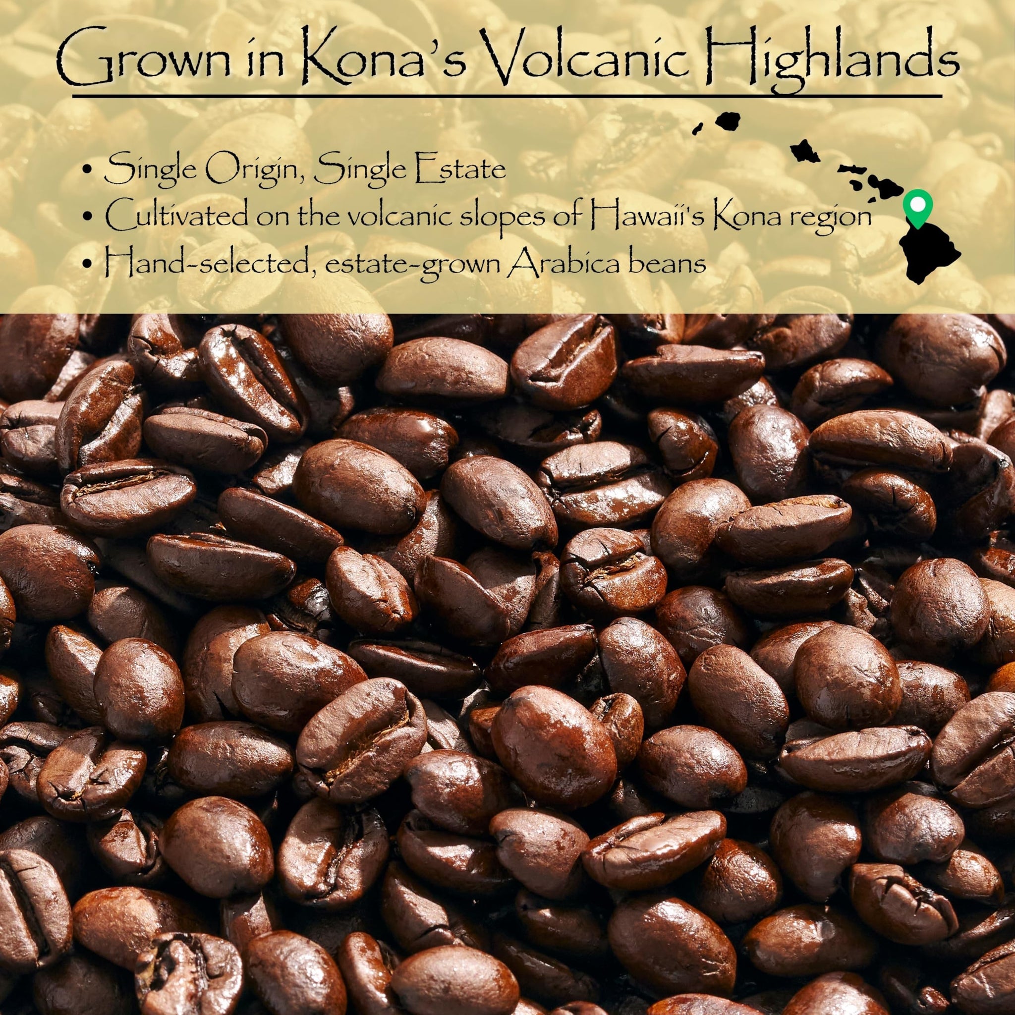 Kona Coffee Whole Bean - 100% Hawaiian Kona Coffee Beans, Single Origin Dark Roast, Fresh Roasted Whole Bean for Drip, French Press & Espresso, Kona