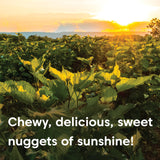 Wilderness Poets White Mulberries - Raw Organic Dried Mulberries, 8 oz (227 g)