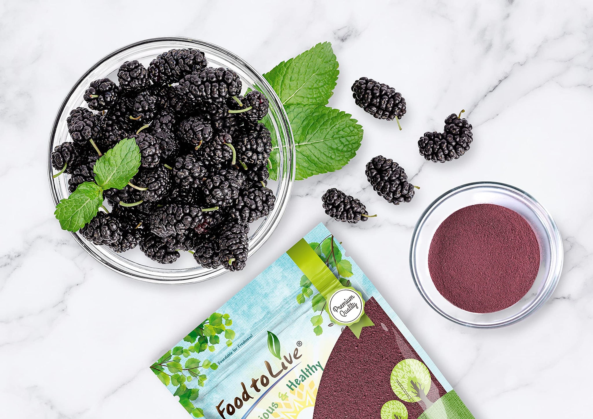 Food to Live Mulberry Fruit Powder, 12 Ounces - Raw Dried Berries, Unsulfured, Vegan, Bulk, For Baking, Juices, Smoothies, Yogurts, Instant Breakfast