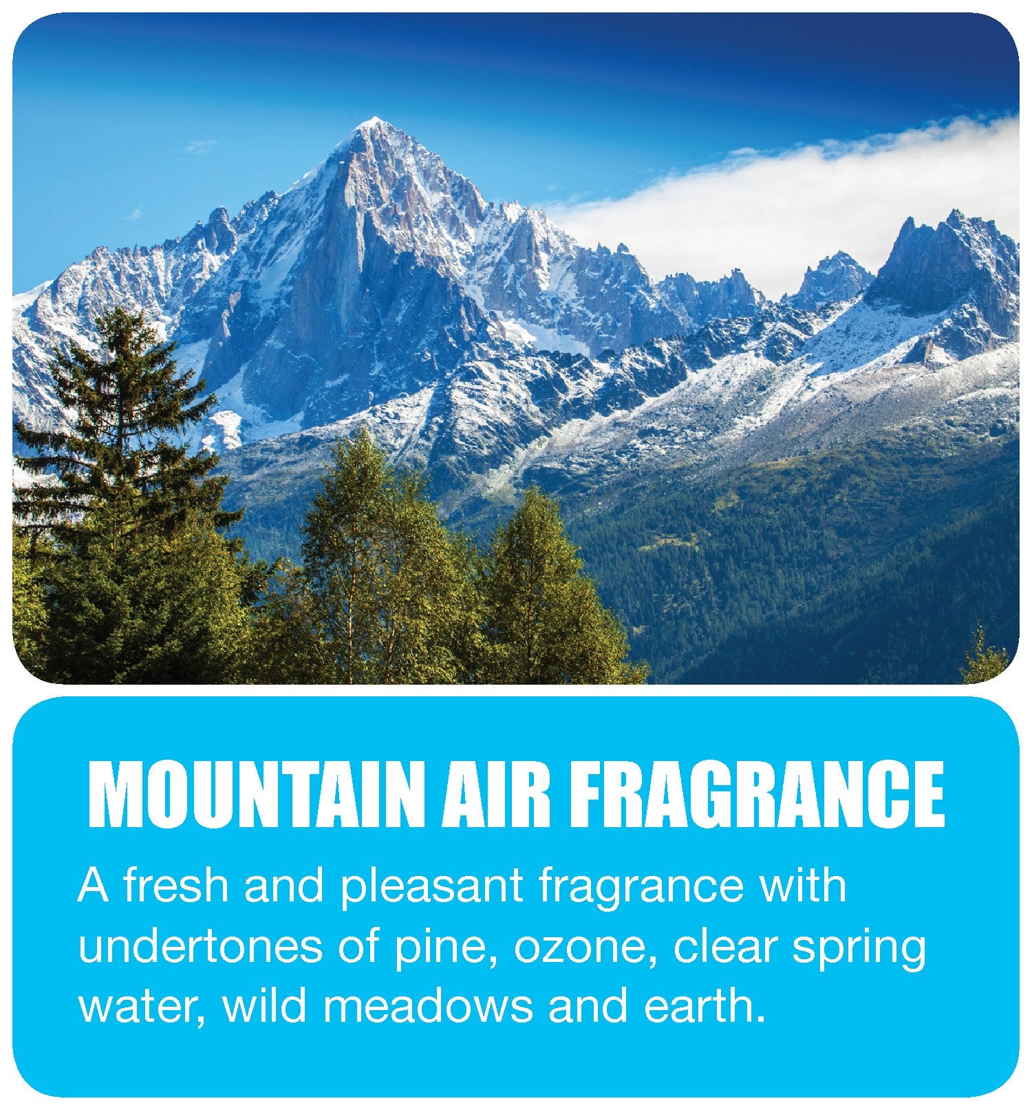 Big D 426 Aerosol Room Deodorant, Mountain Air Fragrance, 15 oz (Pack of 12) - Industrial strength handheld air freshener ideal for restrooms