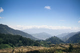 GREEN MAYA Santa Cruz Barillas Association Arabica Coffee Beans 100% Certified Organic Guatemala Single Origin Espresso Coffee