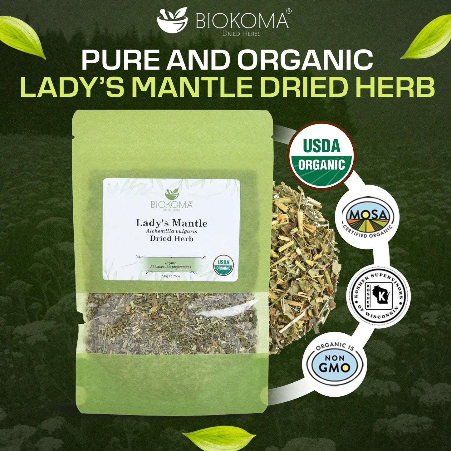 Biokoma Organic Lady's Mantle Herb 1.76 oz - Loose Herbal Tea Alchemilla Vulgaris - USDA Organic Leaves - Resealable Moisture Proof Pouch - No
