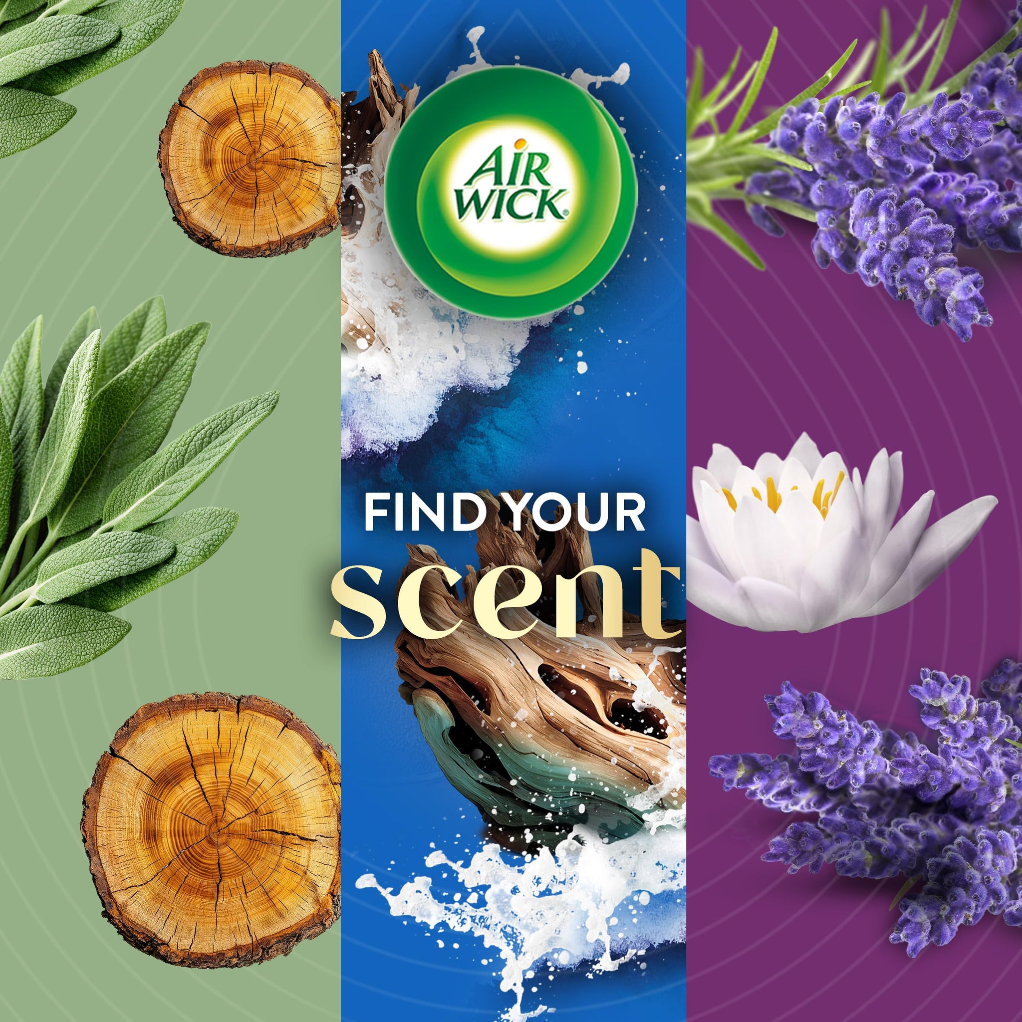 Air Wick Vibrant Plug In Scented Oil Refill, Infused with Essential Oils, Plug In Air Fresheners for Home, Cotton & White Lotus, 4 ct