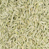 Milky Oats, Organically Grown in Wisconsin | 5.6 oz | 79 Servings | Sacred Blossom Farm | Herbal Tea & Medicinal Herbs | Loose Leaf | Regenerative