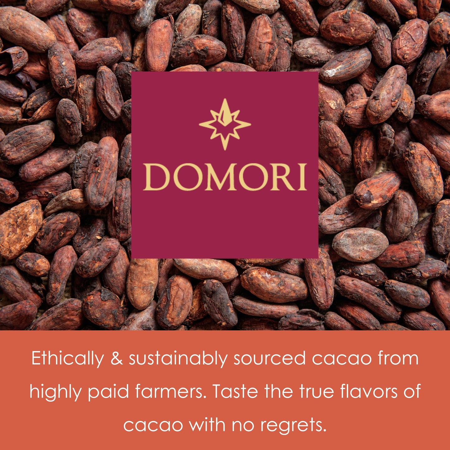Domori Trinitario Bundle | Vegan, Soy Free, Gluten Free | 1.8oz Bars, 6-Pack