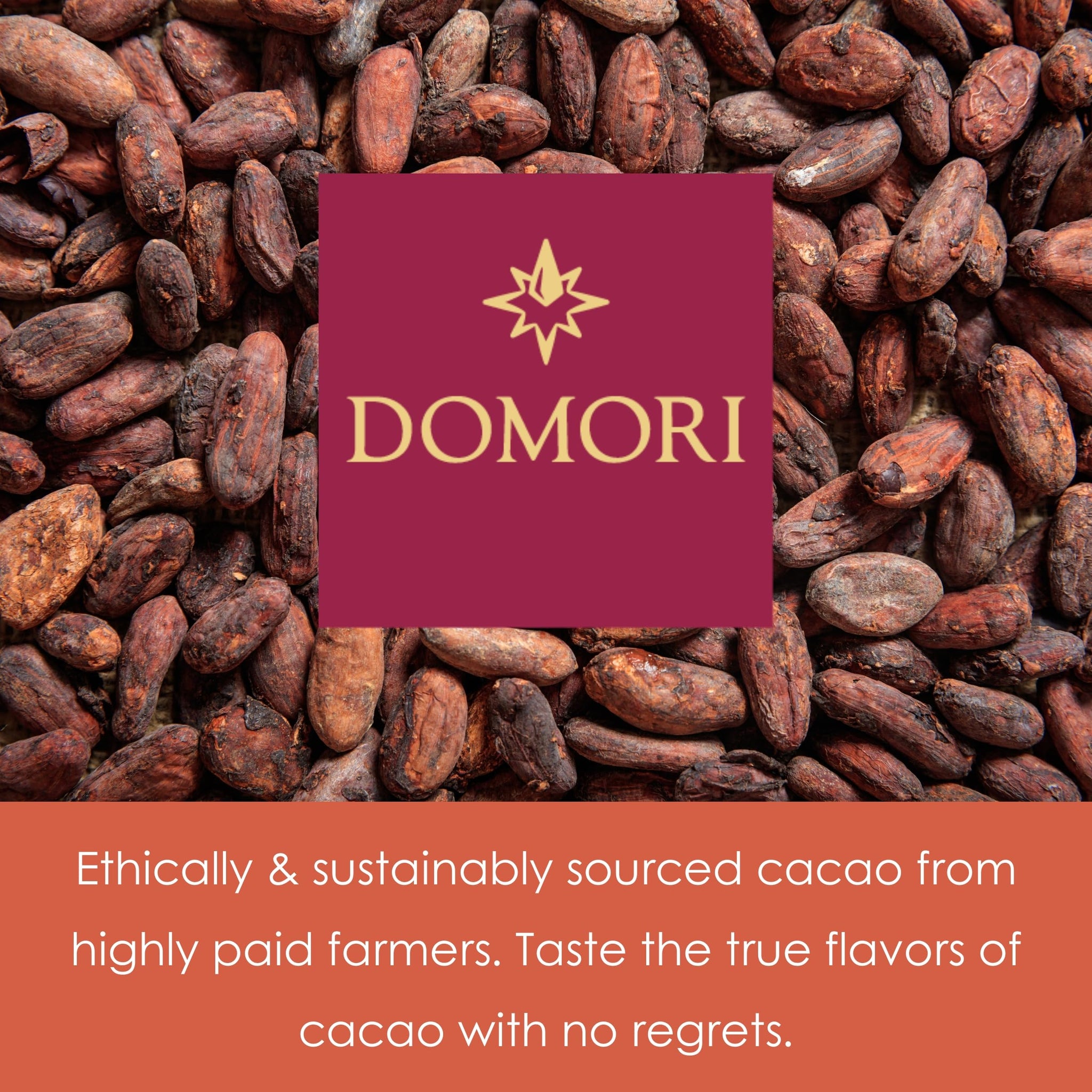 Domori Trinitario Bundle | Vegan, Soy Free, Gluten Free | 1.8oz Bars, 6-Pack