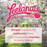 Leelanau Cherry Lemonade, 16 fl oz (Pack of 12)