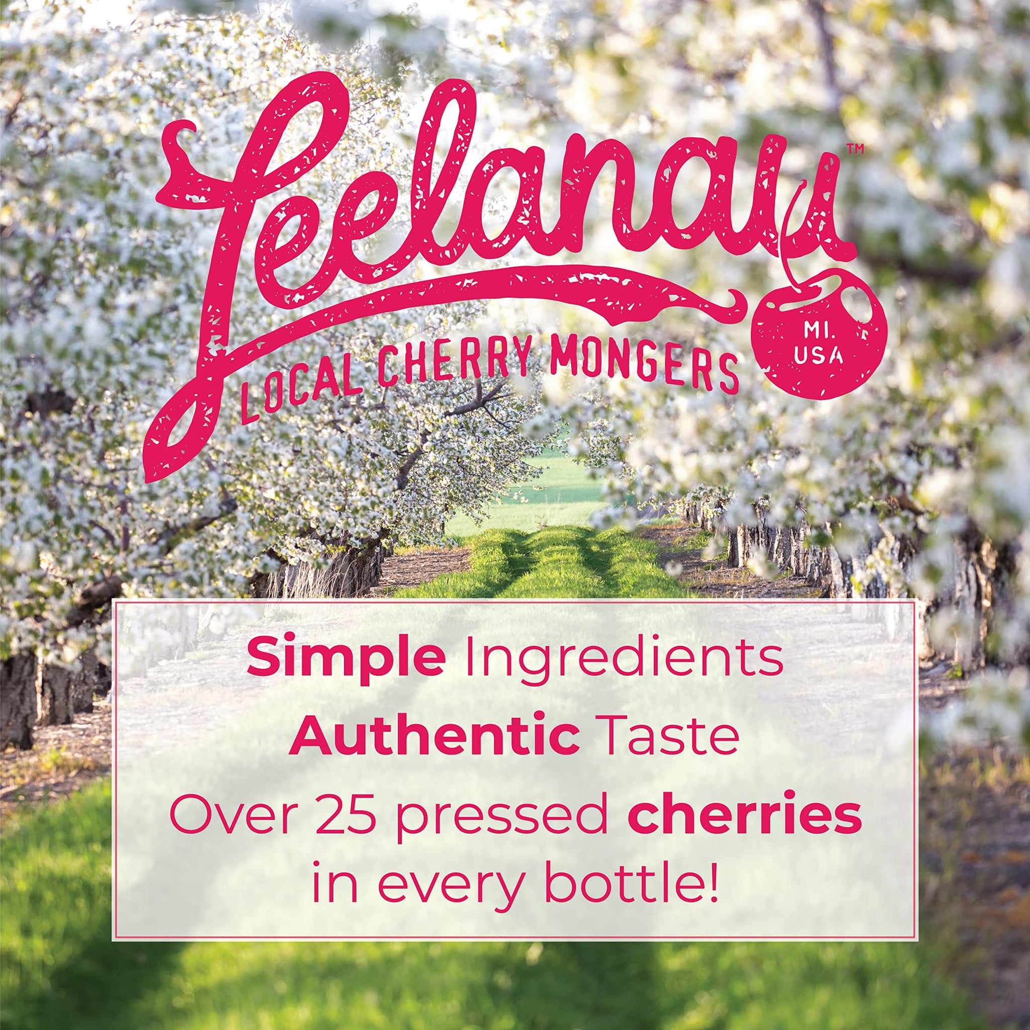 Leelanau Cherry Lemonade, 16 fl oz (Pack of 12)