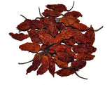 Bhut Jolokia Whole Pods | Ghost Pepper Whole Pods (1kg)