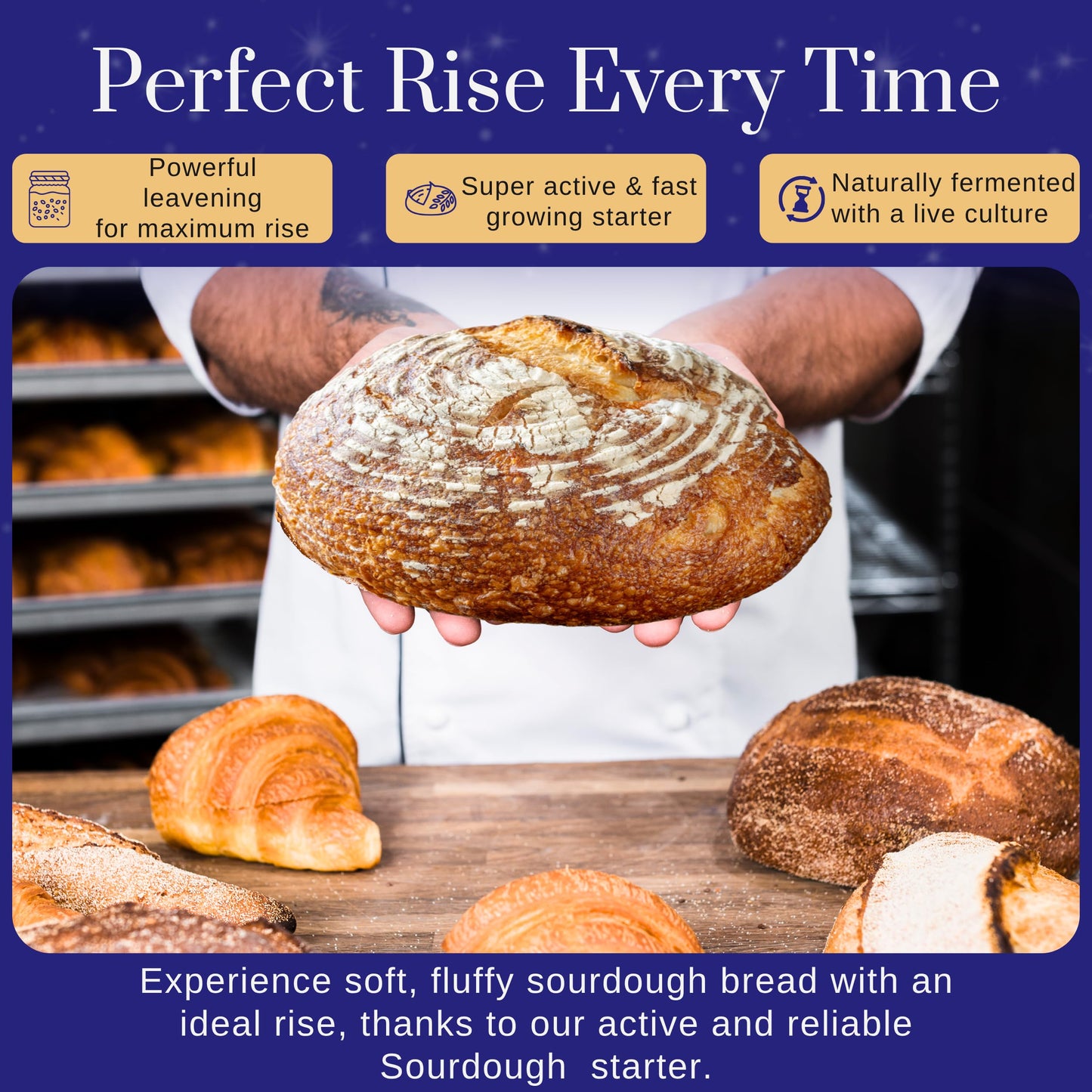 San Francisco Sourdough Starter Culture- 100+ Year Old Dehydrated Heirloom Style Sourdough Starter Kit for Sourdough Bread, Pizza, Buns, Pancakes