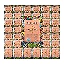 Stellar Snacks Mini Pretzel Braids, Mini Maui Monk, 0.5 Ounce (Pack of 75), Airline Served Mini Pretzel Packs, Sancking On The Go Size, Vegan, Kosher