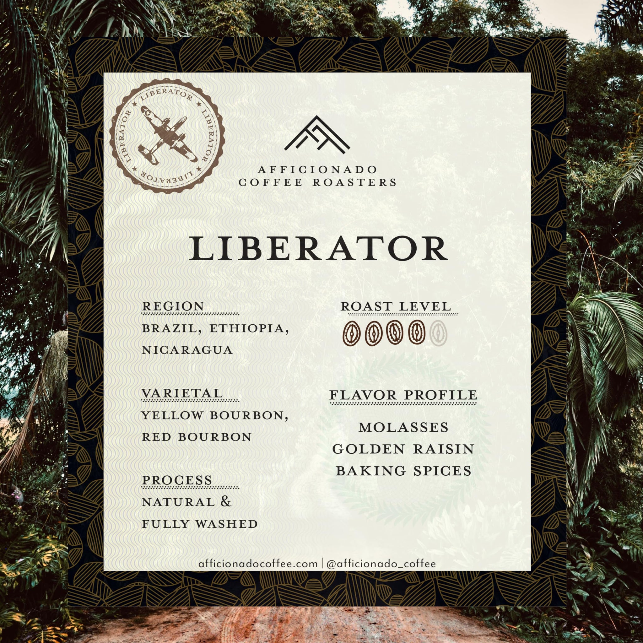 Afficionado Coffee Roasters | Medium Roast Arabica Coffee | 12 Ounce Bag (Liberator, Whole Bean)