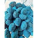 Sour Blue Raspberry Gushers, Viral Tiktok Candy Extremely Sour Gushers/Gummies (8oz + Extra Sour Powder)