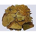 Avocado Tea Leaves Herbal Infusion Hojas de Aguacate Te Value Pack (75g) 100% Natural Caffeine Free