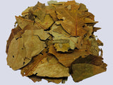 Avocado Tea Leaves Herbal Infusion Hojas de Aguacate Te Value Pack (75g) 100% Natural Caffeine Free