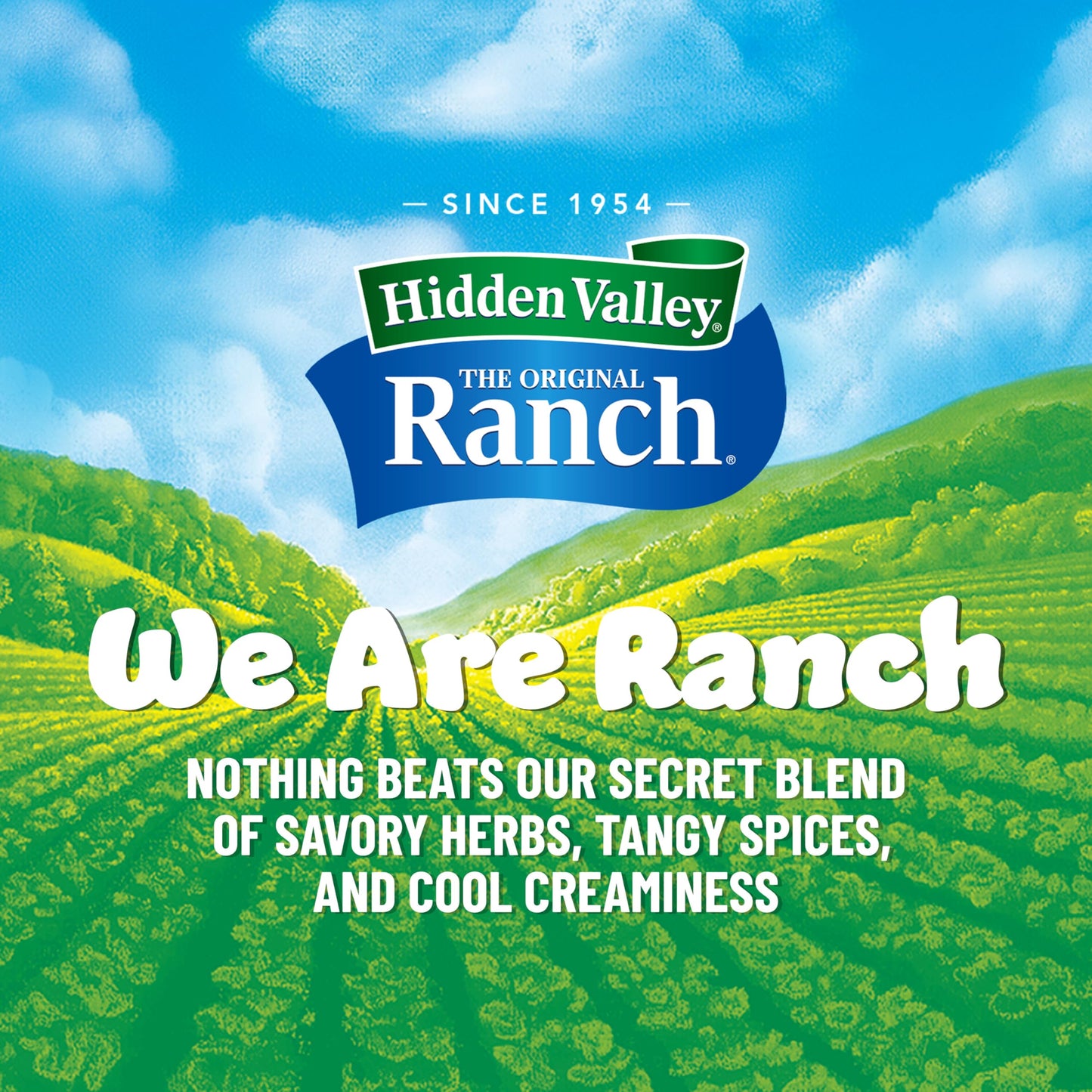 Hidden Valley The Original Ranch Plant Powered Dairy Free Ranch Salad Dressing and Topping, 12 Fluid Ounces (Package May Vary)