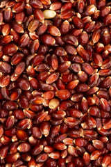 India Tree Paloma Roja (Red) PopCorn, 3.4 lb (Pack of 2)