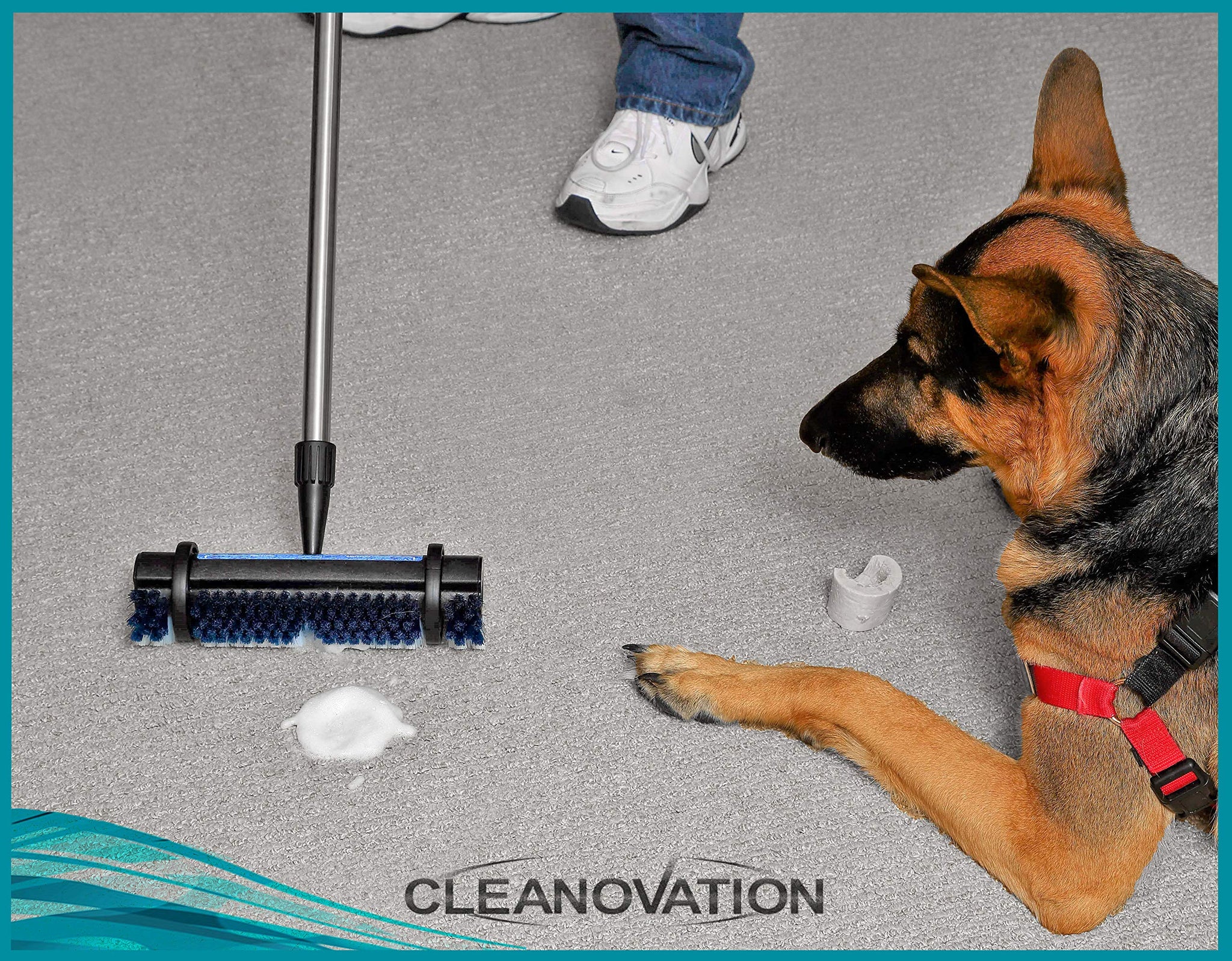 CLEANOVATION Rug Renovator/Carpet Cleaning Brush
