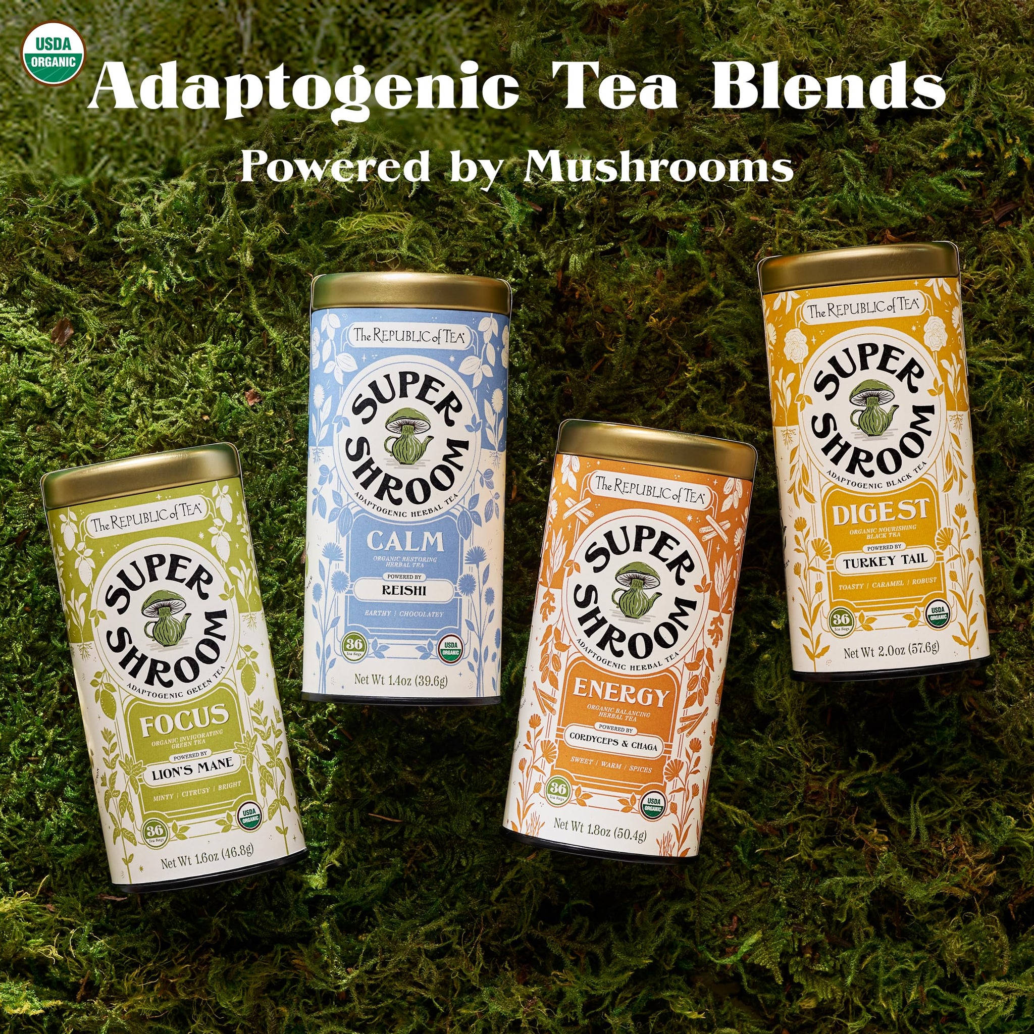 The Republic of Tea SuperShroom Digest Turkey Tail Black Tea, Organic Chicory and Caramel Notes, Naturally Caffeinated, Unbleached Tea Bags in