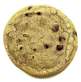 Chewy Chocolate Chip! Large 5 inch Red Door Bakery Homemade Cookies! (3 Cookies, 12.00, Ounce)