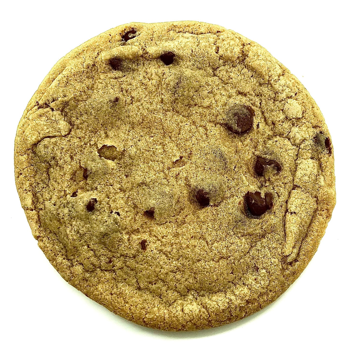 Chewy Chocolate Chip! Large 5 inch Red Door Bakery Homemade Cookies! (3 Cookies, 12.00, Ounce)
