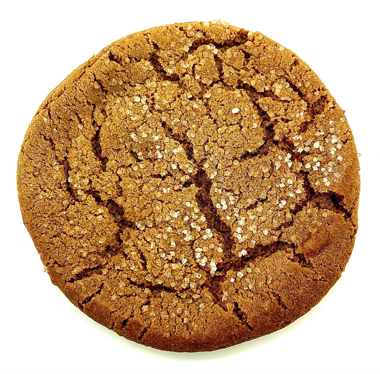 Ginger Molasses Cookie! 3 Large 5inch Homemade Cookies!
