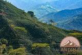 Andina Distributors 1lb - Colombian Dark Premium Roast - Whole Bean Coffee - Low Acidity
