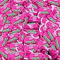 Raspberry Mamba Fruit Chews, 1 Lb. Bag - Individually Wrapped - Juicy Chews Perfect For Holidays, Pinatas, Christmas Stockings, Goody Bags