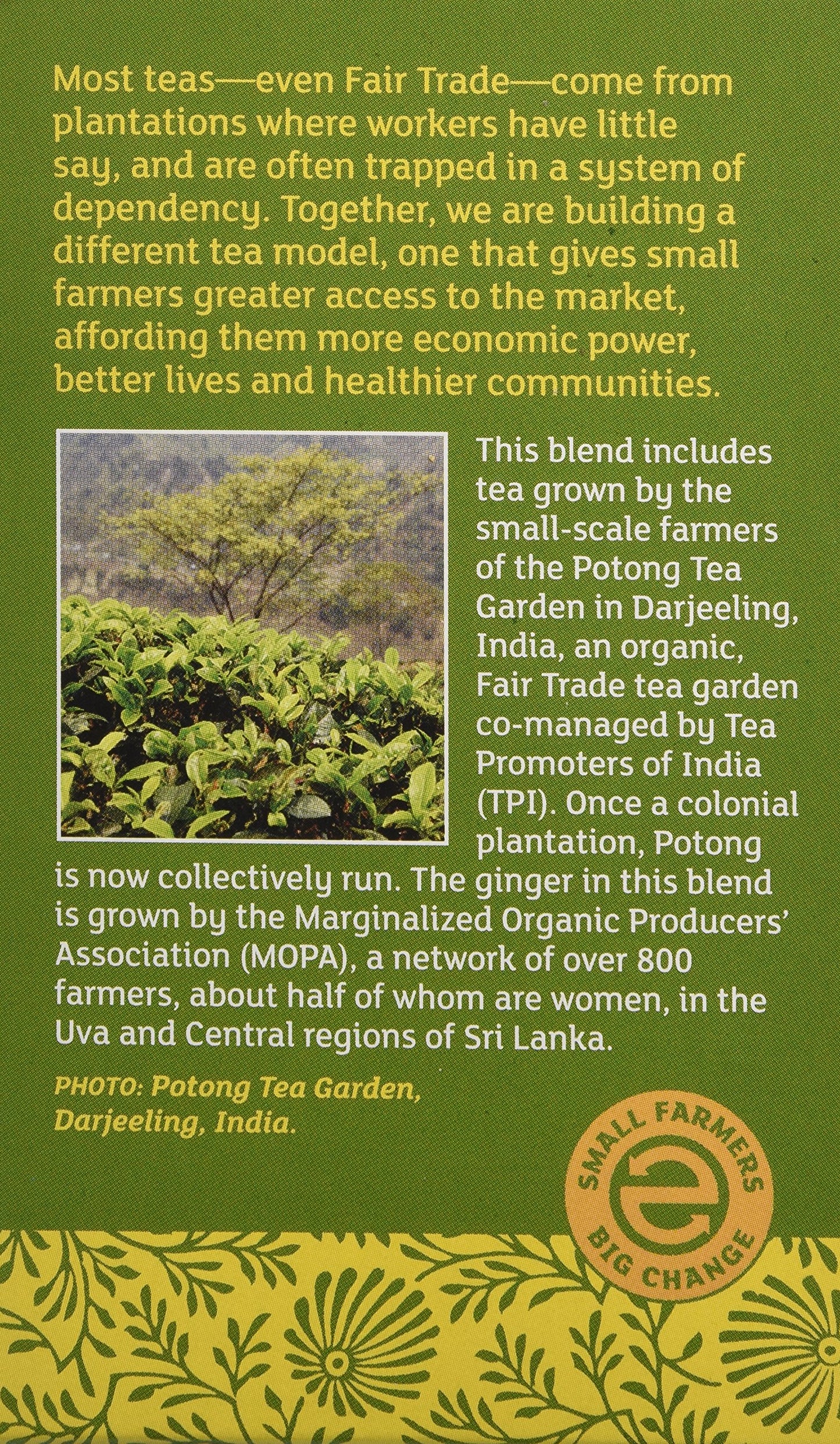Equal Exchange Organic Green Tea with Ginger, 20 Count