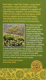 Equal Exchange Organic Green Tea with Ginger, 20 Count