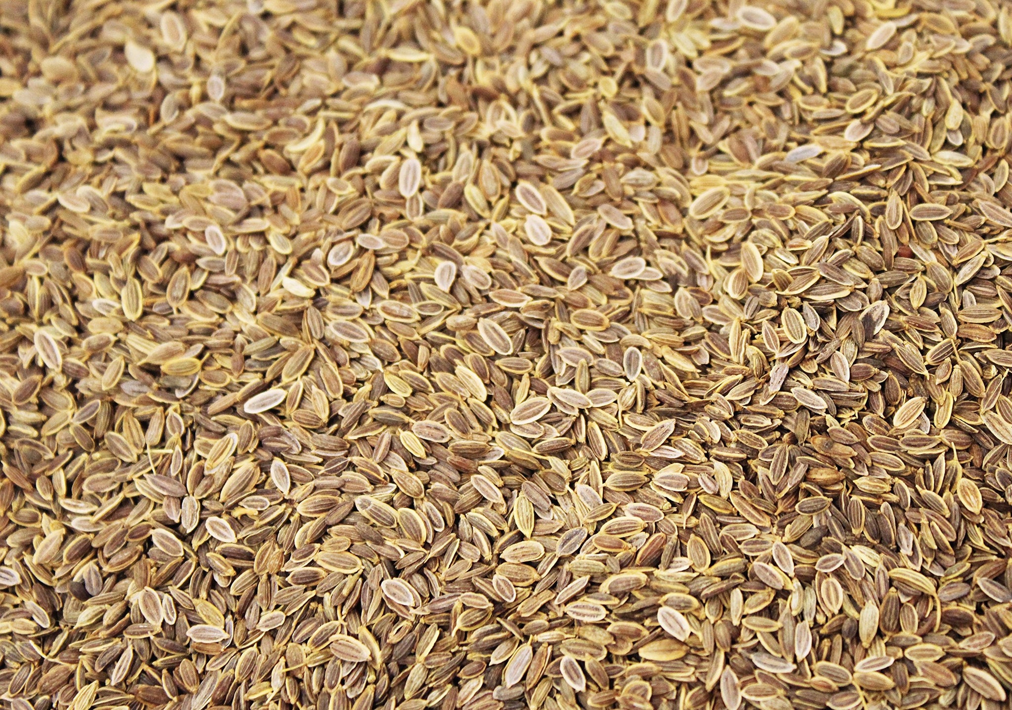 Whole Dill Seeds by Its Delish, bulk (2 lbs)