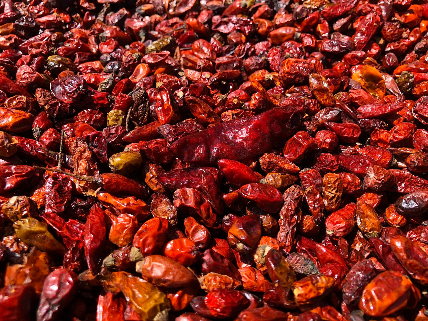 Red Belly Hot Sauce (smoky) - Cobanero Pepper Red Hot Sauce - Amazing Taco Sauce Bursting with a Smoky Tangy Flavor - 5.2oz Craft Red Hot Sauce …