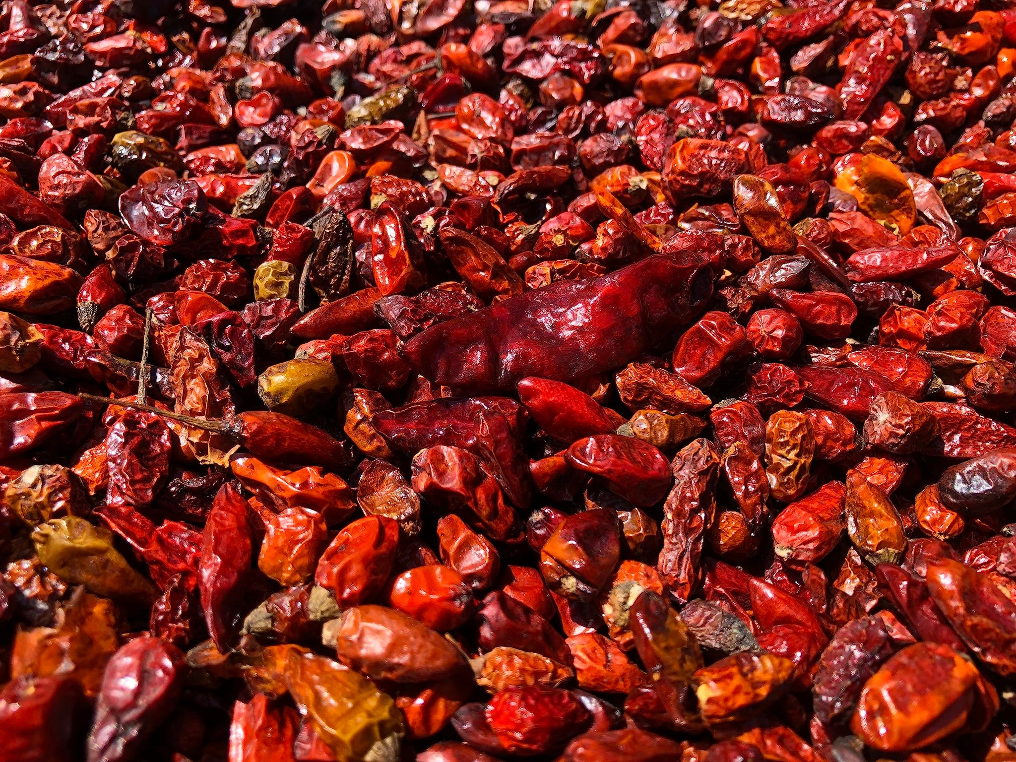 Red Belly Hot Sauce (smoky) - Cobanero Pepper Red Hot Sauce - Amazing Taco Sauce Bursting with a Smoky Tangy Flavor - 5.2oz Craft Red Hot Sauce …