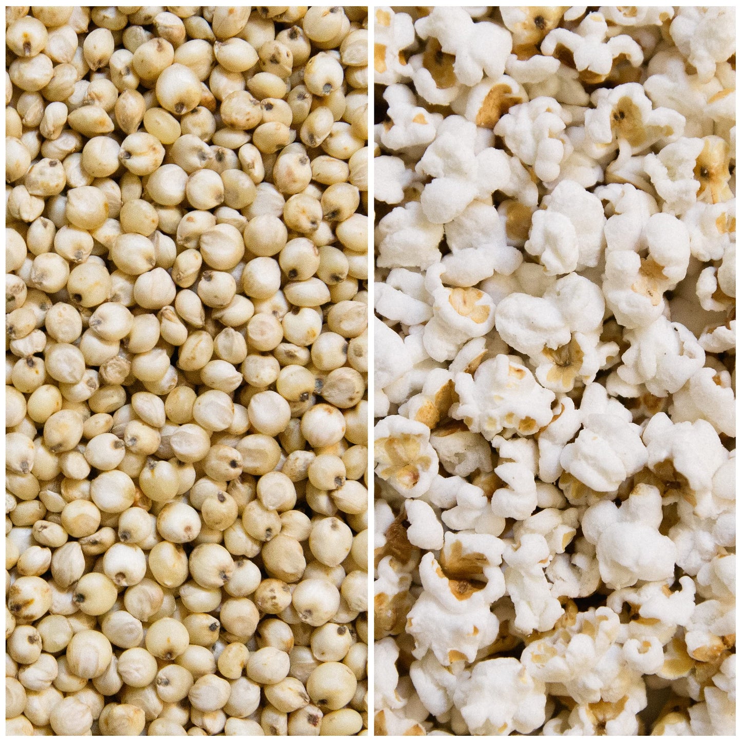Nature Nate’s Popped Sorghum, Masala - Organic, Keto & Gluten Free, Healthy Snacks, Better Than Popcorn, Made in USA - 4.3 Ounce